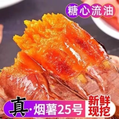山东正宗烟薯25号蜜薯糖心红薯流油蜜薯网套装农科院新鲜地瓜番薯