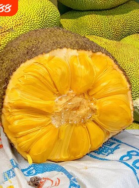 新货海南菠萝蜜新鲜水果当季产红干