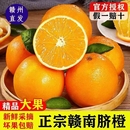 正宗江西赣南脐橙赣州橙子新鲜水果现摘当季 孕妇手剥橙果精品 应季