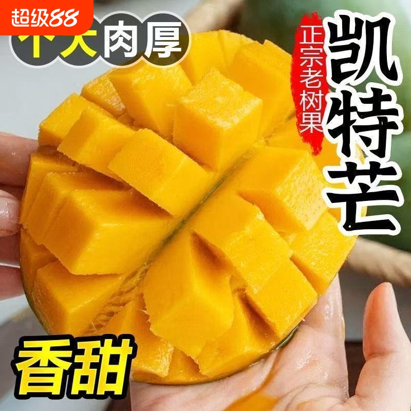 正宗四川攀枝花凯特芒果青皮大芒果水果新鲜整箱当季应季包邮现摘