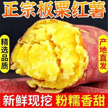 正宗农家现挖板栗黄薯新鲜品质装黄蜜心红蜜薯番薯丝滑山芋沙地实付13.5元到手包邮