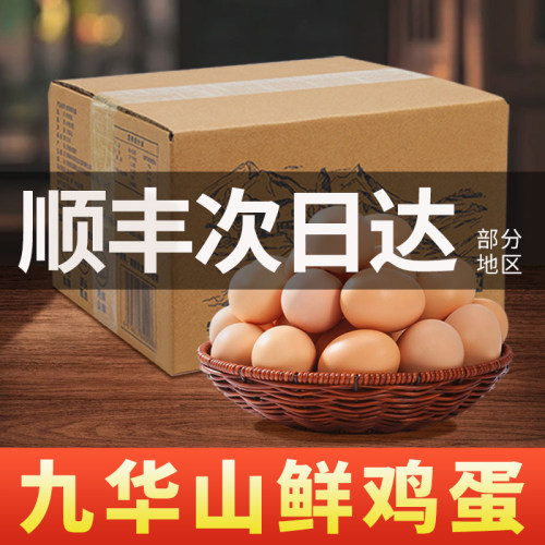 顺丰包邮九华山66枚正宗鸡蛋笨鸡蛋柴鸡蛋月子蛋无沙门氏菌新鲜