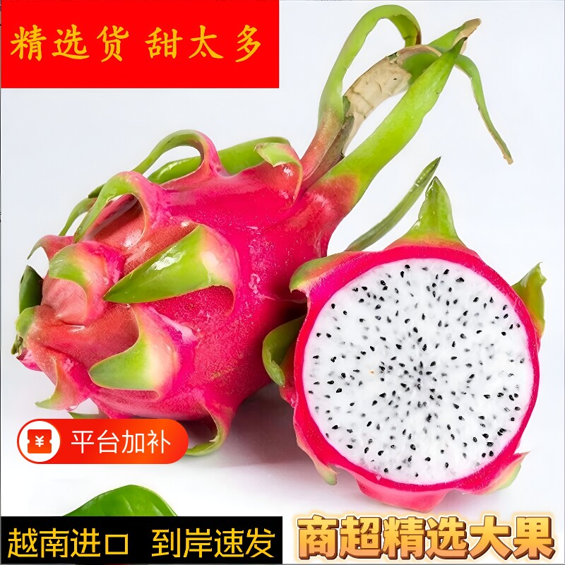 越南进口白心火龙果新鲜大果包邮应季水果清甜非红心热带直供时令