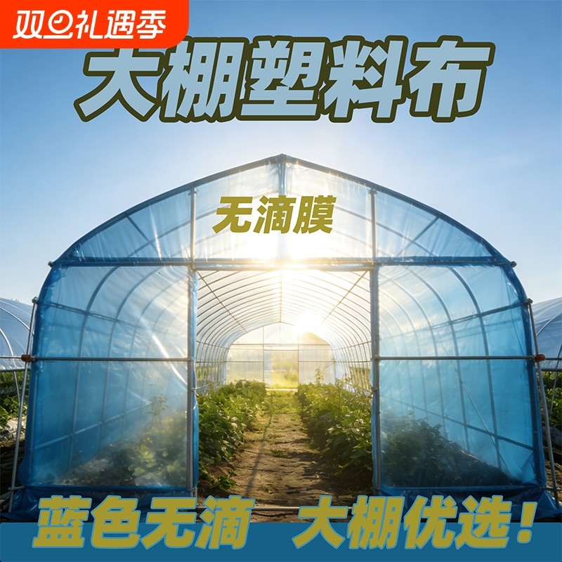 大棚塑料布透明加厚抗老化蓝色无滴膜农膜塑料布农用蔬菜保温薄膜