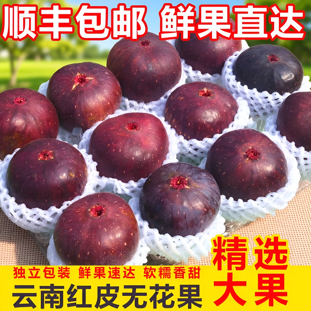 顺丰包邮云南新鲜无花果红皮鲜果孕妇儿童波姬红水果整箱现摘大果