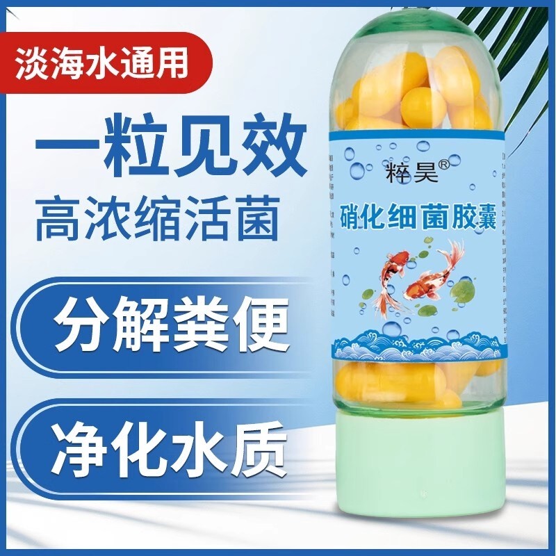 硝化细菌胶囊鱼缸专用净水剂净化活菌干粉观赏鱼水族溶液养鱼用品