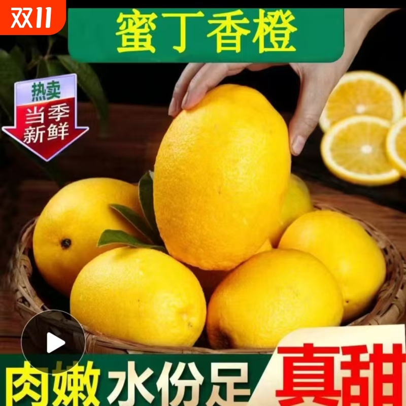甜橙蜜丁香橙应季新鲜水果维C爆满正宗产地现采现发纯甜整箱现摘