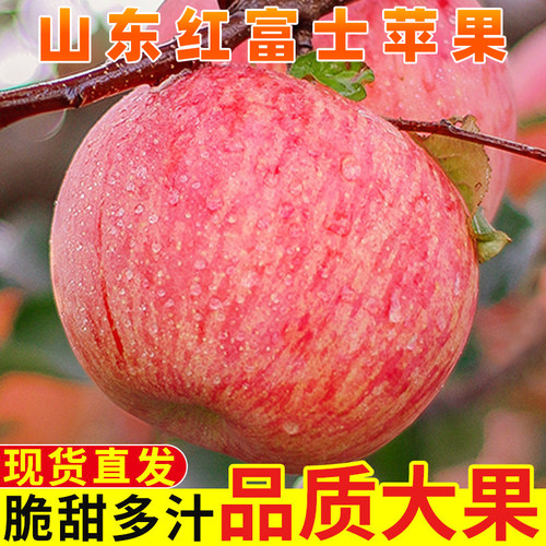 正宗山东红富士苹果新鲜水果应当季脆甜冰糖心批发整箱平果包邮