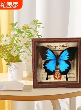 天堂翠凤蝶标本相框真蝴蝶DIY摆台装饰生日礼物礼品桌面绿带客厅