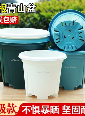 圆形加厚透水透气花盆田园风控根加深多排水孔青山种植托盘多孔