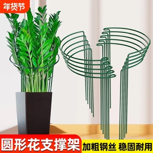 花支撑架金钱树半圆防倒伏支撑杆龟背竹虎皮兰绣球园艺固定护叶架