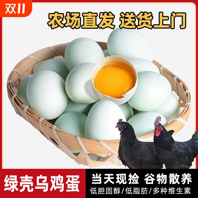 散养乌鸡蛋绿壳土鸡蛋