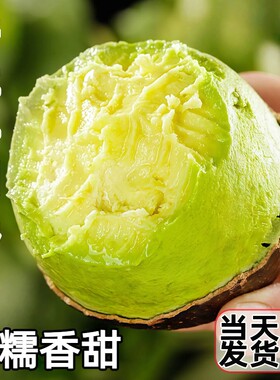 当季牛油果新鲜水果大果15个整箱包邮软糯孕妇一级鳄梨挑选食用