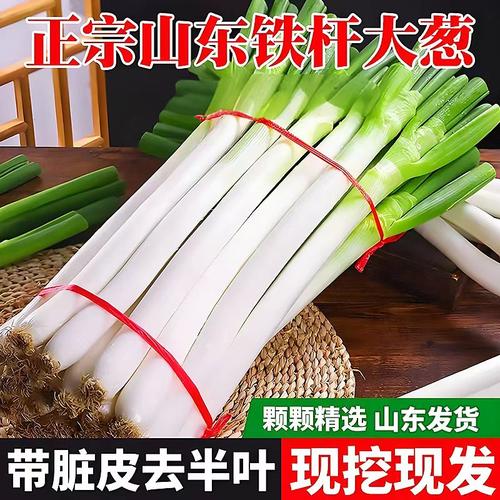 正宗山东大葱新鲜脆甜辣精品铁杆大葱特产当季蔬菜洋葱香葱去半叶
