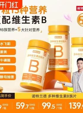 诺特兰德维生素咀嚼片复合vb维bb6b12b1牛磺酸正品多种姜黄健康