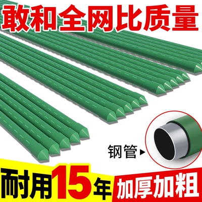 花架爬藤架葡萄黄瓜豆角架杆