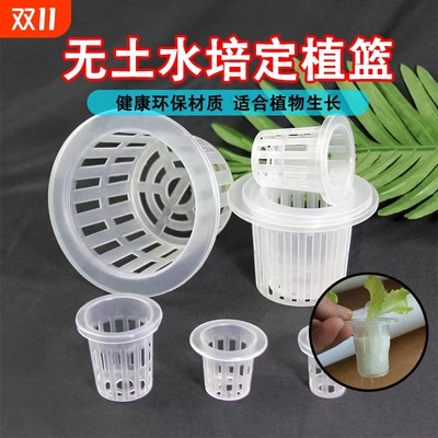 水培定植篮水培器皿植物无土栽培设配塑料加深种植蔬菜固定器水耕