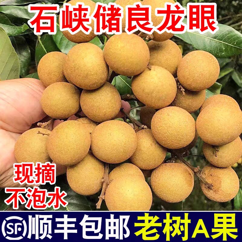 【顺丰包邮】正宗储良龙眼现摘大果鲜甜整箱孕妇当季时令蔬果鲜嫩