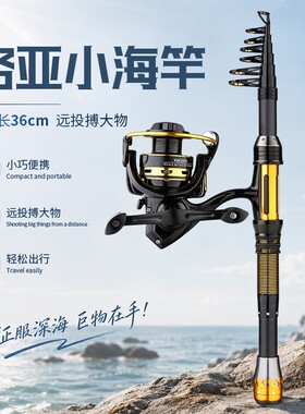 路亚杆小海杆收缩36cm短节竿溪流