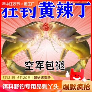 黄辣丁饵料黄颡鱼饵料野钓专用昂刺鱼饵黄骨黄刺黄丫头小药窝料