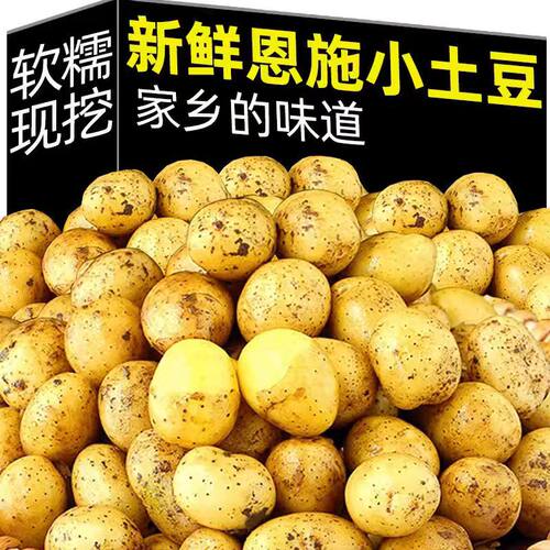 新鲜小土豆湖北新鲜黄心土豆