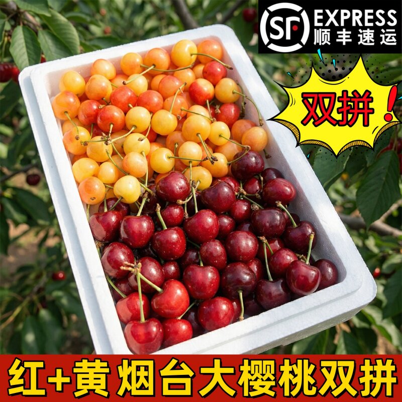 正宗烟台黄蜜大樱桃山东黄水晶樱桃新鲜孕妇水果车厘子红黄双拼