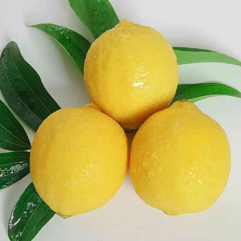 四川安岳黄柠檬新鲜水果当季精选皮薄多汁香水柠檬