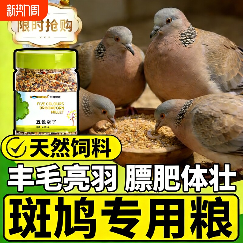 斑鸠专用饲料高粱小麦玉米谷子混合装鸽子鹦鹉麻雀鸟类通用营养粮