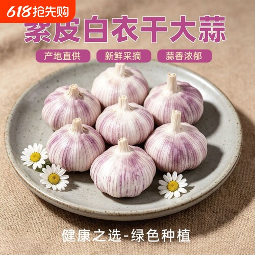 金乡蒜今年新干蒜头农家新鲜干大蒜头蒜种紫白皮当季蔬菜做腊八蒜