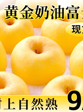 正宗辽宁黄金奶油富士苹果9斤整箱包邮时令当季奶油苹果脆甜鲜果