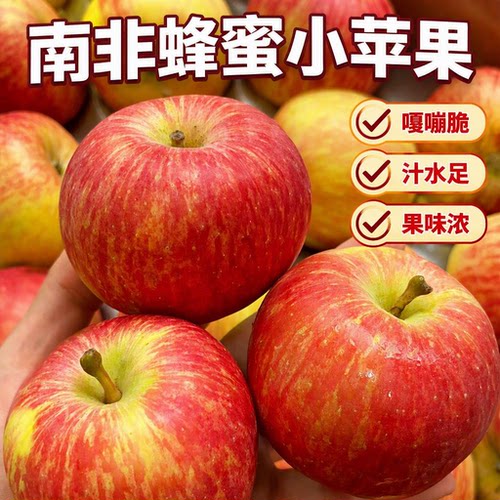 南非牛顿小苹果新鲜水果当季进口脆甜嘎啦富士红冰糖苹果整箱糖心