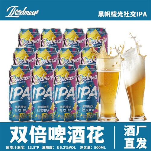 IjsselmeerIPA精酿啤酒麦芽度13.8°P经典500ml*4瓶整箱装烈性酒