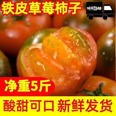 正宗丹东铁皮西红柿水果柿子碱地草莓西红柿自然吃水果新鲜番茄