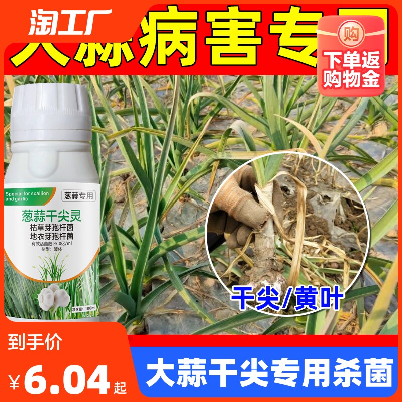 大蒜专用药病专治干尖黄叶锈病紫斑病专用农药杀菌剂微生物怎么看?