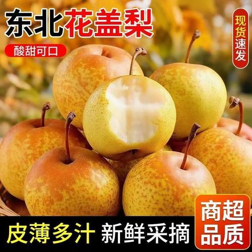 正宗花盖梨东北鞍山特产新鲜水果可以做冻梨