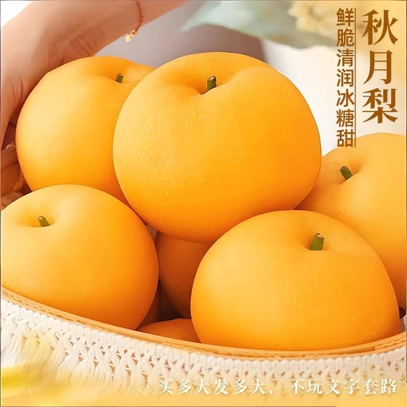 正宗山东秋月梨新鲜现摘当应季冰糖脆甜莱阳鲜果梨子时令生鲜,水产肉类/新鲜蔬果/熟食,梨,淘宝优惠券,粉丝福利购,淘宝优惠卷