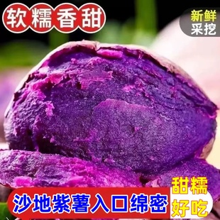 新鲜采挖沙地紫薯9斤红薯番薯紫心大果紫罗兰蜜薯地瓜软糯香甜
