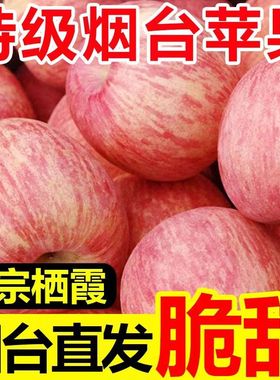 山东正宗烟台红富士苹果新鲜水果当季水果脆甜整箱优质好果批发