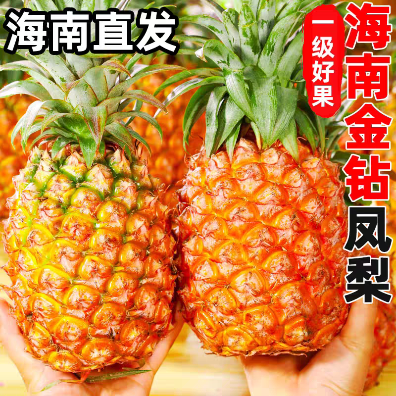海南金钻凤梨新鲜水果当季芒果手撕菠萝特产大果应季整箱热带自提