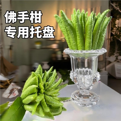 佛手柑托盘摆放佛手高颜值创意水培花瓶观赏佛手瓜专用玻璃器皿盆