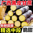 正宗广西黑皮甘蔗皮薄脆甜多汁新鲜现砍现发农家肥种植水果甘蔗