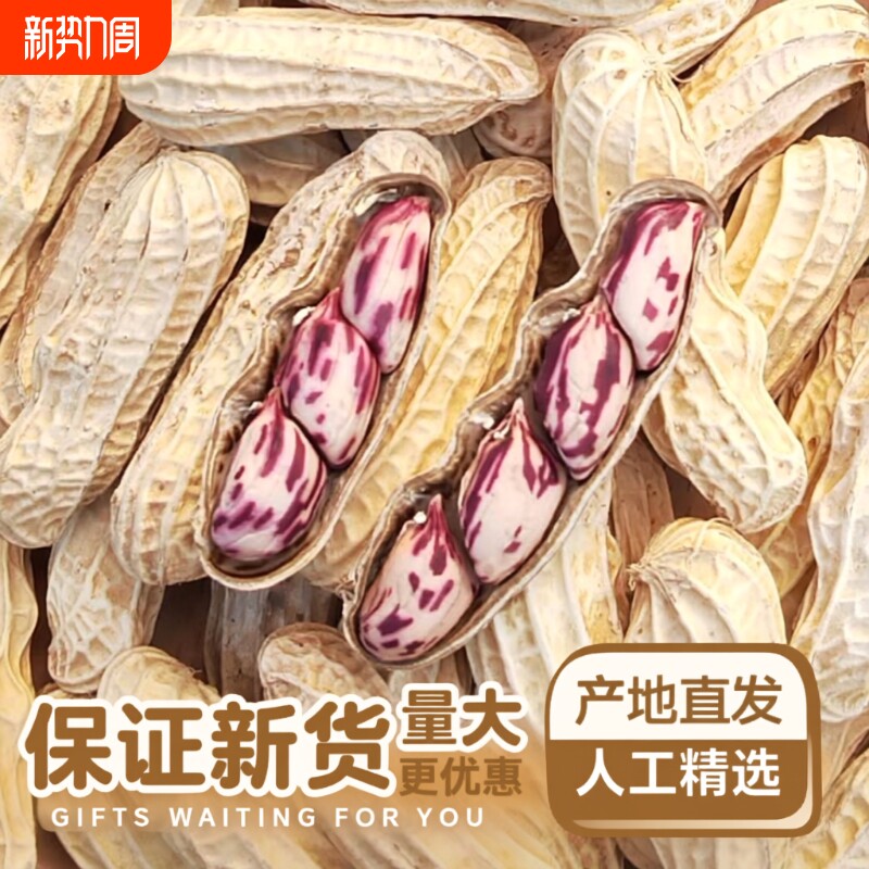 2025带壳七彩花生云南普洱晒干五彩花熟花生零食水煮咸干散装彩色