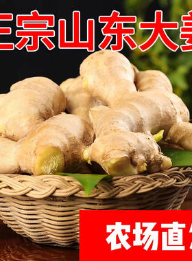 生姜大黄姜山东大姜发货新鲜老姜黄姜月子姜批发姜汁红糖姜枣食用