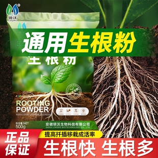 快速生根粉植物通用树木移栽扦插专用果树花卉兰花多肉新款生根粉