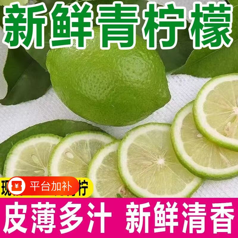 四川安岳青柠檬新鲜非广东广西香水柠檬皮薄多汁奶茶店专用