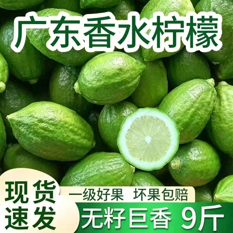 特价商用 广东香水柠檬新鲜柠檬无籽一级果鸭屎香柠檬茶奶茶专用