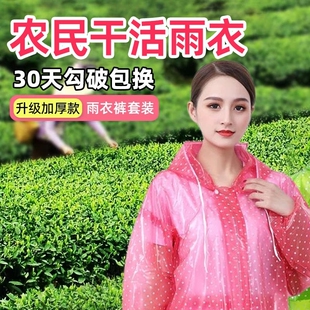 农民干活成人采茶穿的雨衣雨裤套装女加厚摘茶叶专用女士外穿分体