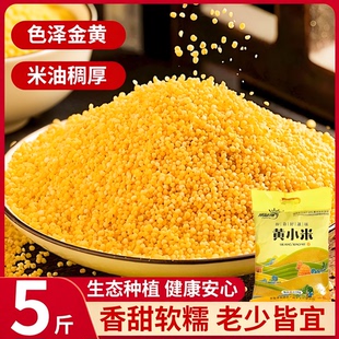 陕北米脂黄小米5斤陕西小米米脂小米粟米五谷杂粮小米粥油小黄米