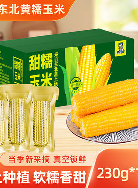 当季东北黏糯玉米棒真空