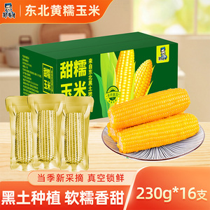 当季东北黏糯玉米棒真空